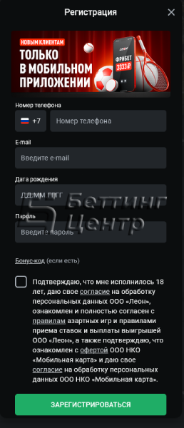 Леон для новичков: руководство для начинающих