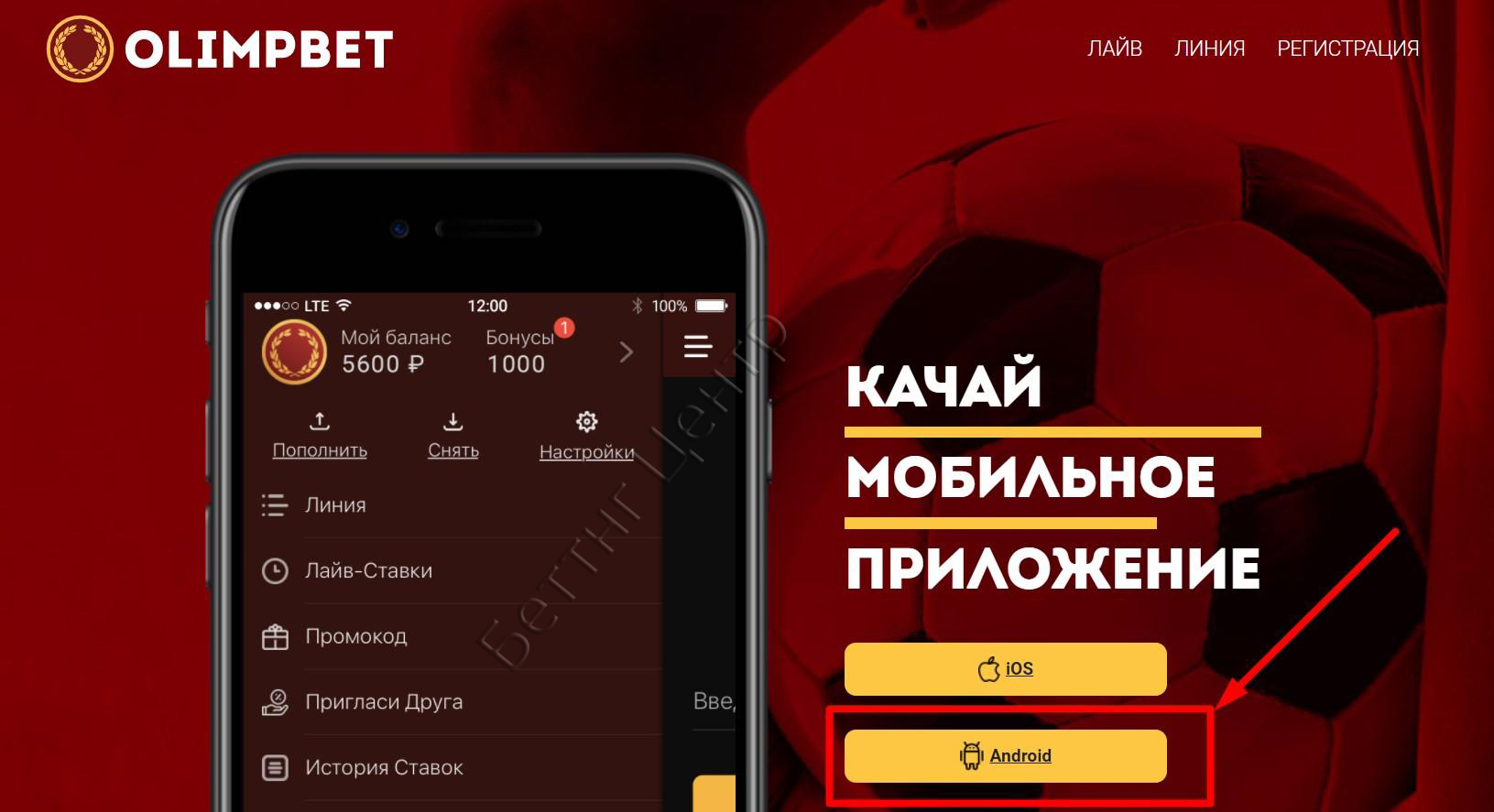 Olimp букмекерская контора android нумерология и ставки на спорт