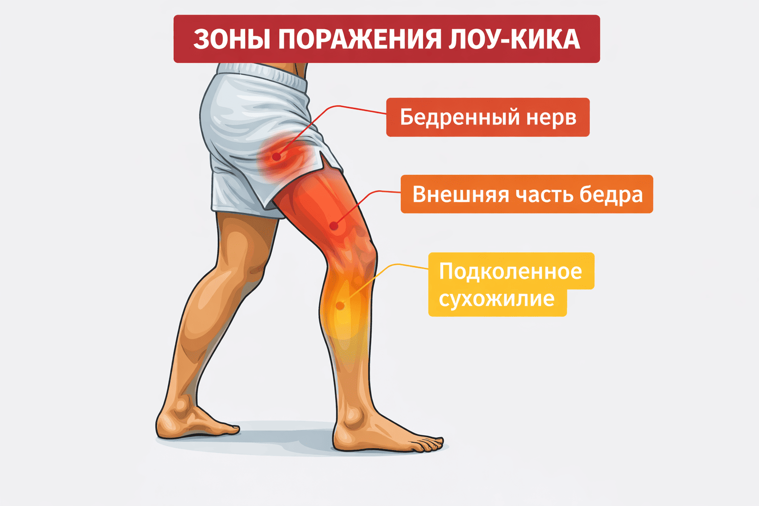 Удар лоу кик