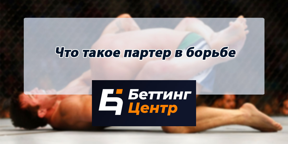 Что такое партер в борьбе. Смотреть фото Что такое партер в борьбе. Смотреть картинку Что такое партер в борьбе. Картинка про Что такое партер в борьбе. Фото Что такое партер в борьбе