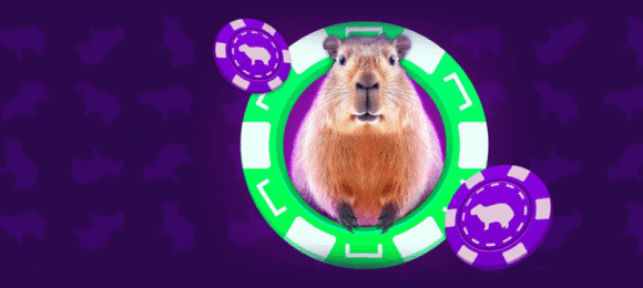 Лига Ставок: участвуй в программе лояльности