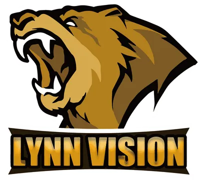 Lynn Vision Gaming
