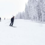 Завершившие карьеру Бё выступят на турнире City Biathlon в Дрездене