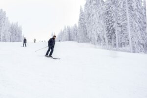 Завершившие карьеру Бё выступят на турнире City Biathlon в Дрездене