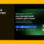 Электронный кошелек ЦУПИС