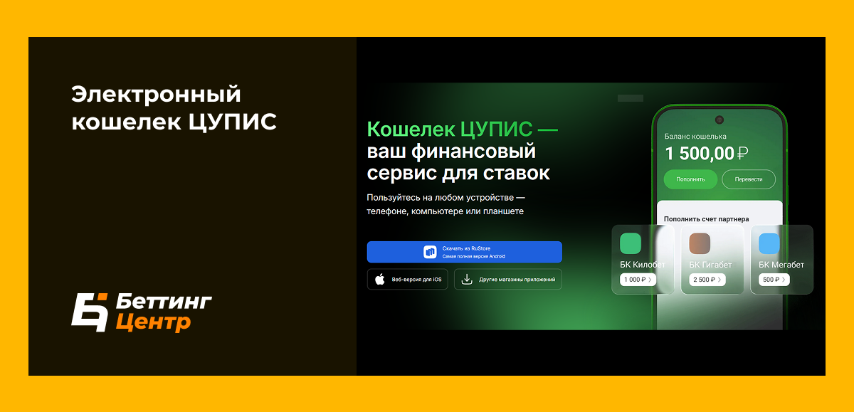 Электронный кошелек ЦУПИС
